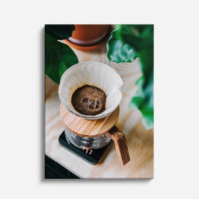 cuadro canvas método de café con follaje estilo natural artesanal