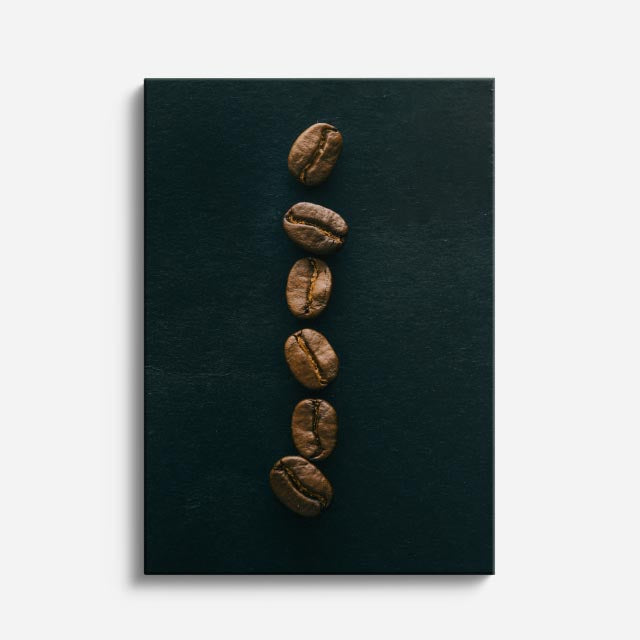 cuadro canvas granos de café alineados estilo minimalista sobrio