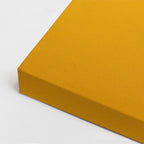 cuadro canvas bebidas papaya minimal estilo contemporáneo