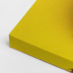 cuadro canvas bebidas piña tropical estilo contemporáneo