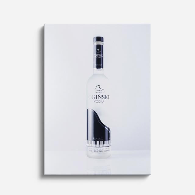 cuadro canvas bebidas premium gin minimal estilo contemporáneo