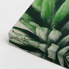 cuadro canvas vino vino fresco estilo contemporáneo