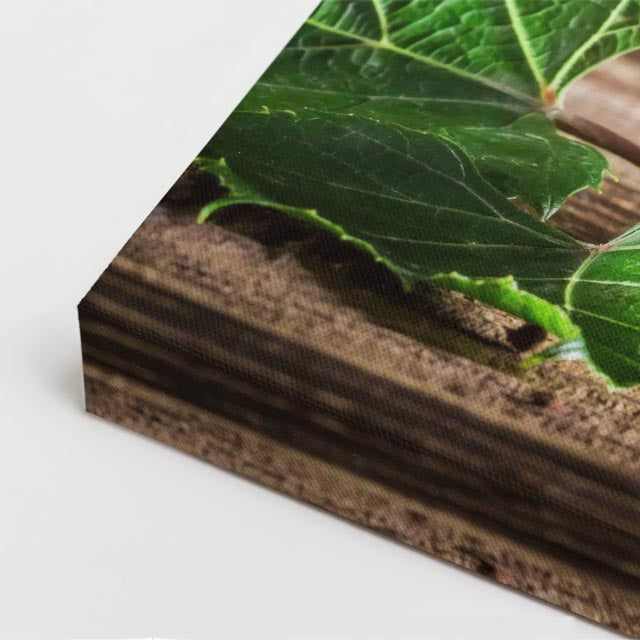 cuadro canvas vino uvas vino estilo contemporáneo
