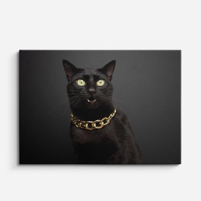 cuadro canvas retrato de gato elegante estilo contemporáneo