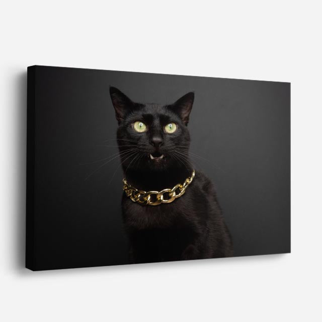 cuadro canvas retrato de gato elegante estilo contemporáneo