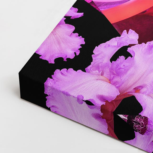 cuadro canvas explosión rosa
