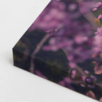 cuadro canvas expresión artística humana retrato floral estilo contemporáneo