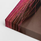 cuadro canvas expresión artística humana belleza cromatica estilo contemporáneo