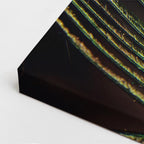 cuadro canvas expresión artística humana pluma real estilo contemporáneo