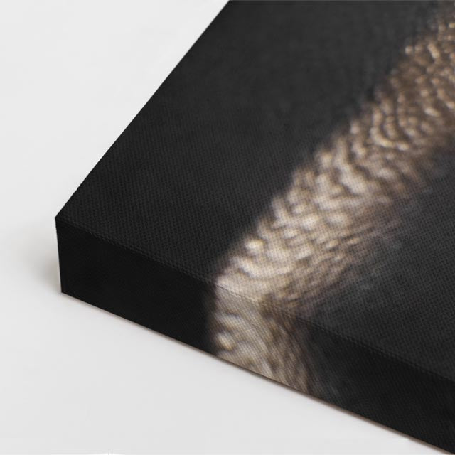 cuadro canvas expresión artística humana luz dividida estilo contemporáneo