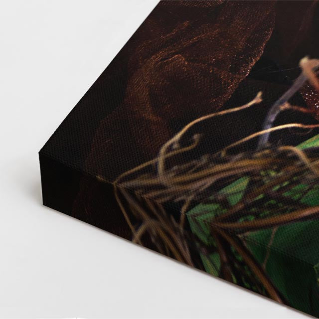 cuadro canvas expresión artística humana reina del bosque estilo contemporáneo
