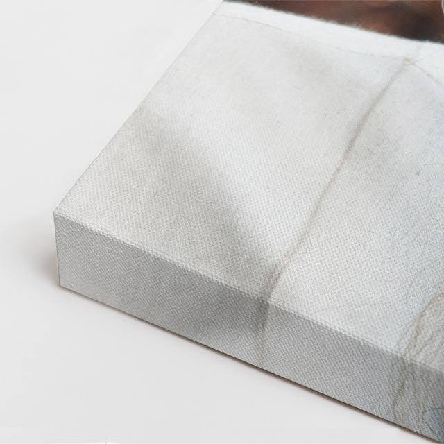 cuadro canvas expresión artística humana raiz serena estilo contemporáneo