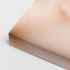 cuadro canvas expresión artística humana petalo rosado estilo contemporáneo