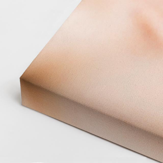cuadro canvas expresión artística humana petalo rosado estilo contemporáneo