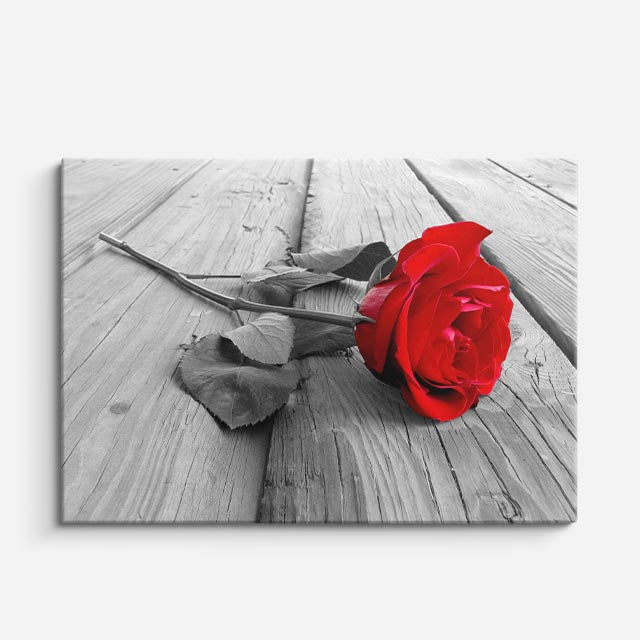 cuadro canvas floral y botánico rosa eterna estilo contemporáneo