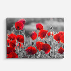 cuadro canvas floral y botánico amapola viva estilo contemporáneo