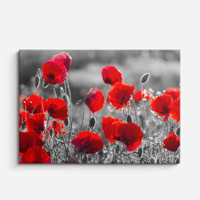 cuadro canvas floral y botánico amapola viva estilo contemporáneo