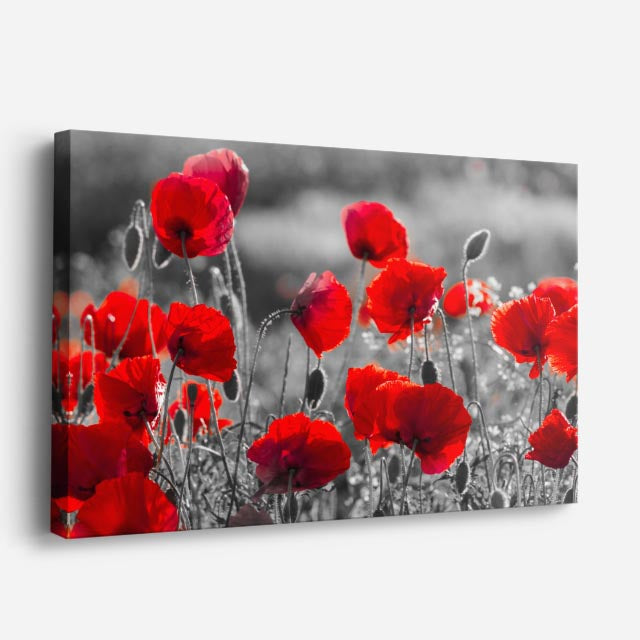 cuadro canvas floral y botánico amapola viva estilo contemporáneo