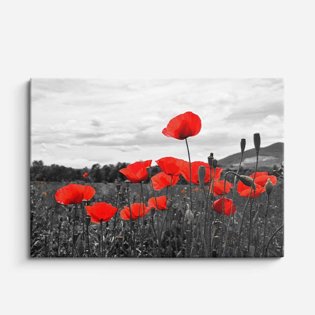 cuadro canvas floral y botánico horizonte escarlata estilo contemporáneo