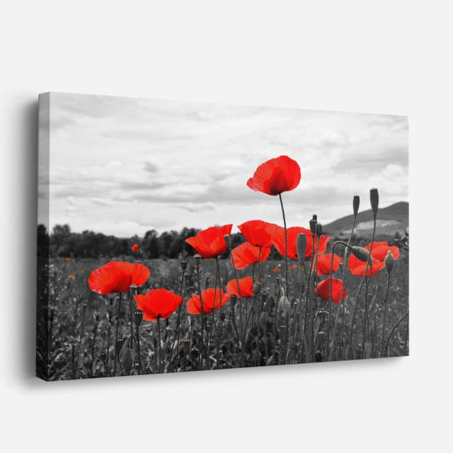 cuadro canvas floral y botánico horizonte escarlata estilo contemporáneo