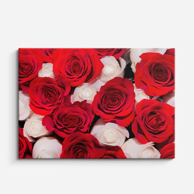 cuadro canvas floral y botánico rosas en vínculo estilo contemporáneo