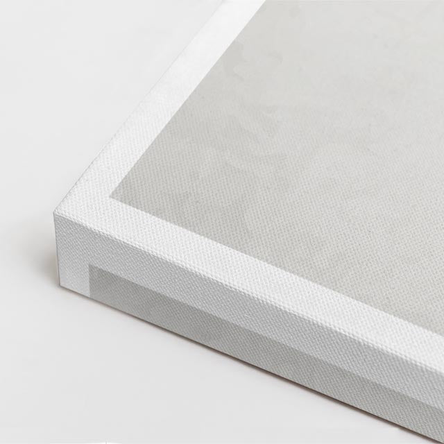 cuadro canvas floral y botánico hoja sutil estilo contemporáneo