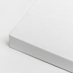 cuadro canvas floral y botánico rama oliva estilo contemporáneo