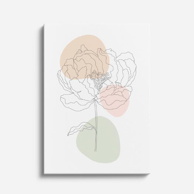 cuadro canvas floral y botanico peonia doble estilo contemporaneo