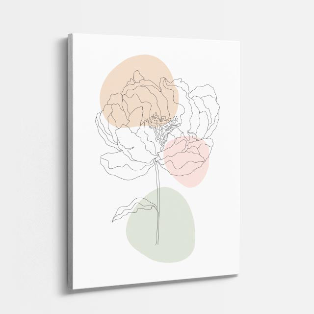 cuadro canvas floral y botanico peonia doble estilo contemporaneo