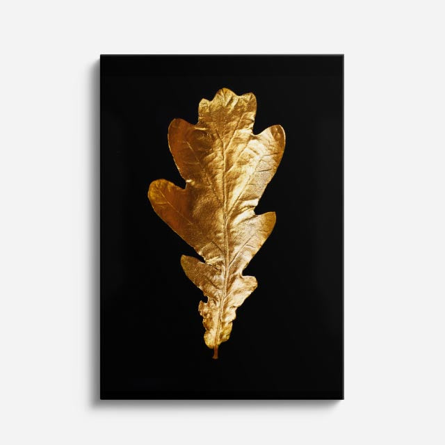cuadro canvas floral y botanico hoja dorada roble estilo contemporaneo
