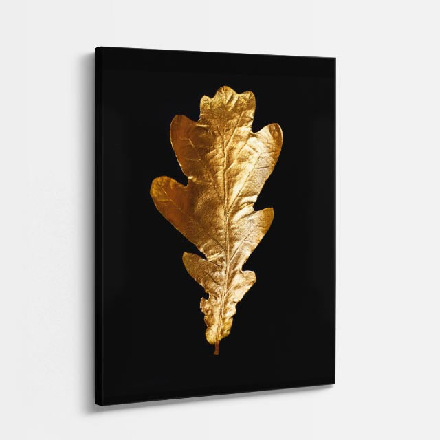 cuadro canvas floral y botanico hoja dorada roble estilo contemporaneo