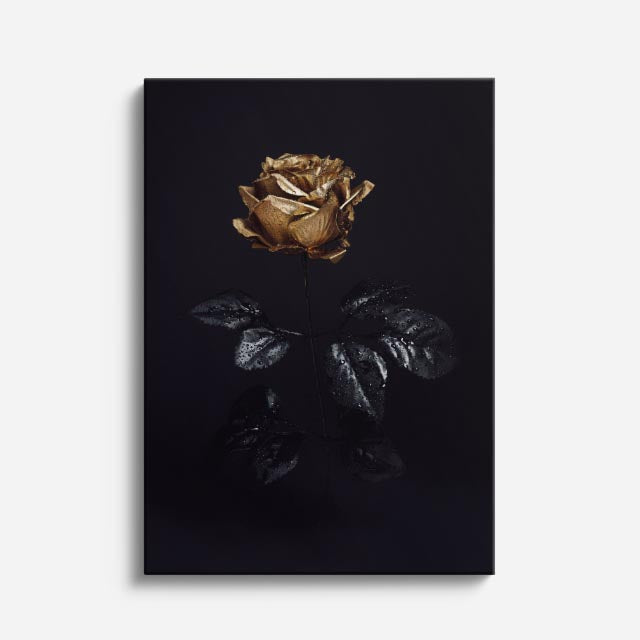 cuadro canvas floral y botanico rosa dorada estilo contemporaneo