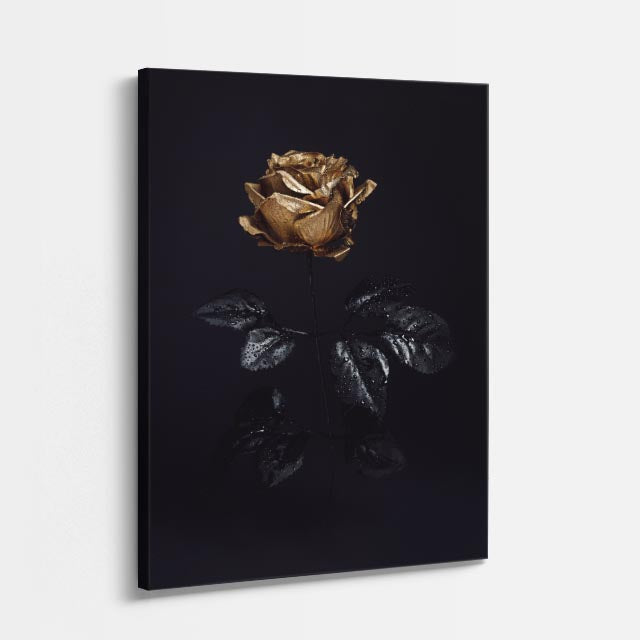 cuadro canvas floral y botanico rosa dorada estilo contemporaneo