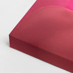 cuadro canvas floral y botanico peonia neon estilo contemporaneo