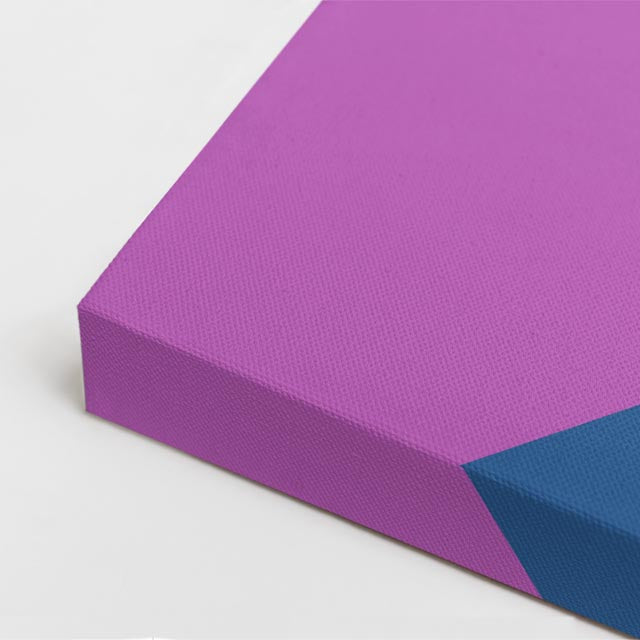 cuadro canvas ilustracion humana cabello magenta estilo contemporaneo