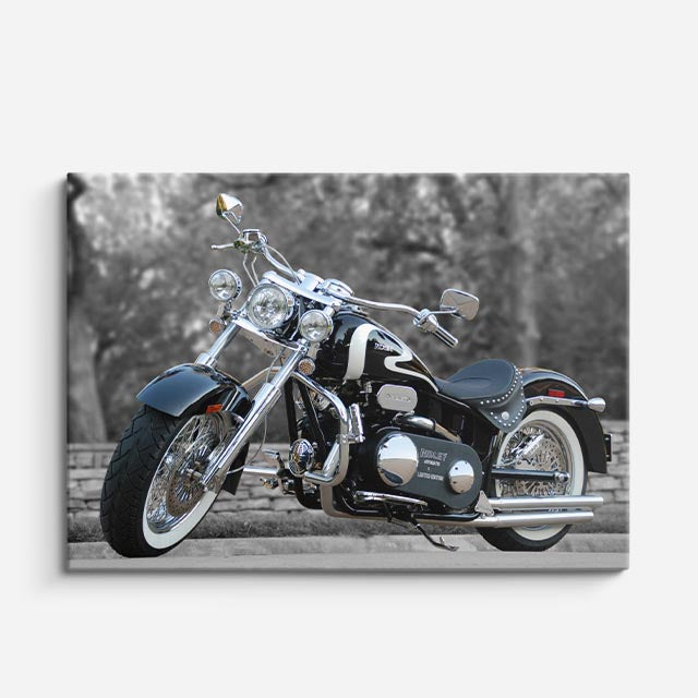 cuadro canvas vehículos chopper gris parque en calma horizontal