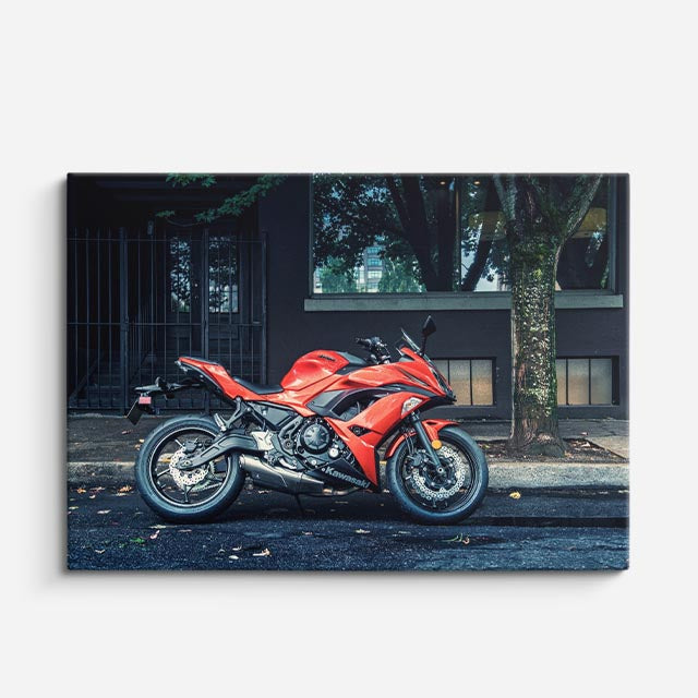 cuadro canvas vehículos sport roja fachada oscura horizontal