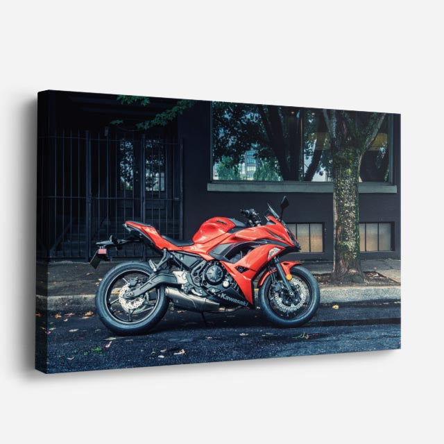cuadro canvas vehículos sport roja fachada oscura horizontal