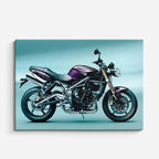 cuadro canvas vehículos naked morada ciudad teal horizontal