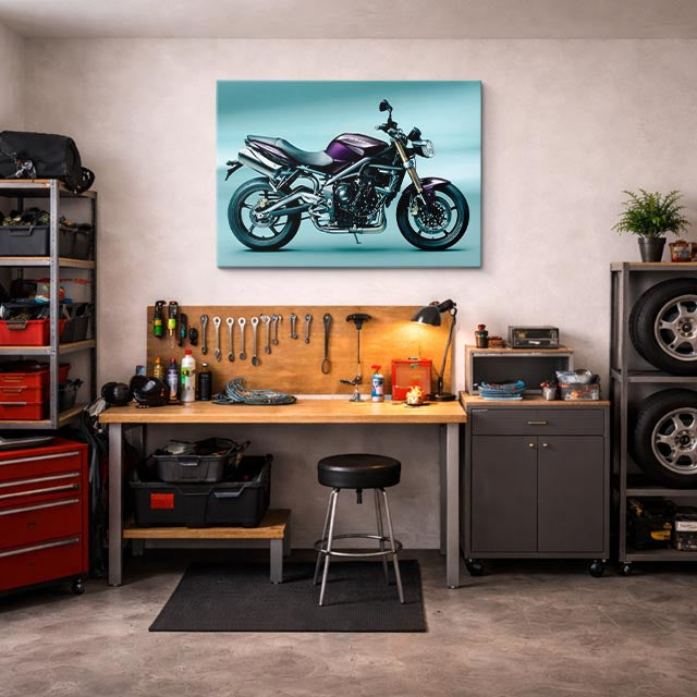 cuadro canvas vehículos naked morada ciudad teal horizontal