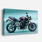 cuadro canvas vehículos naked morada ciudad teal horizontal
