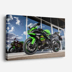 cuadro canvas vehículos kawasaki verde cielo abierto horizontal