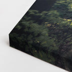 cuadro canvas vehículos daf rojo bosque verde horizontal