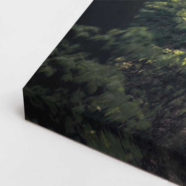 cuadro canvas vehículos daf rojo bosque verde horizontal