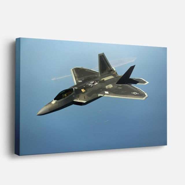 cuadro canvas vehículos f22 raptor negro sombra horizontal