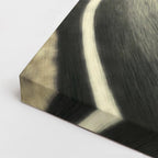 cuadro canvas vehículos lamborghini huracán desierto horizontal