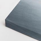 cuadro canvas vehículos audi tt azul estudio horizontal