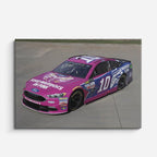 cuadro canvas vehículos auto nascar rosa pista horizontal