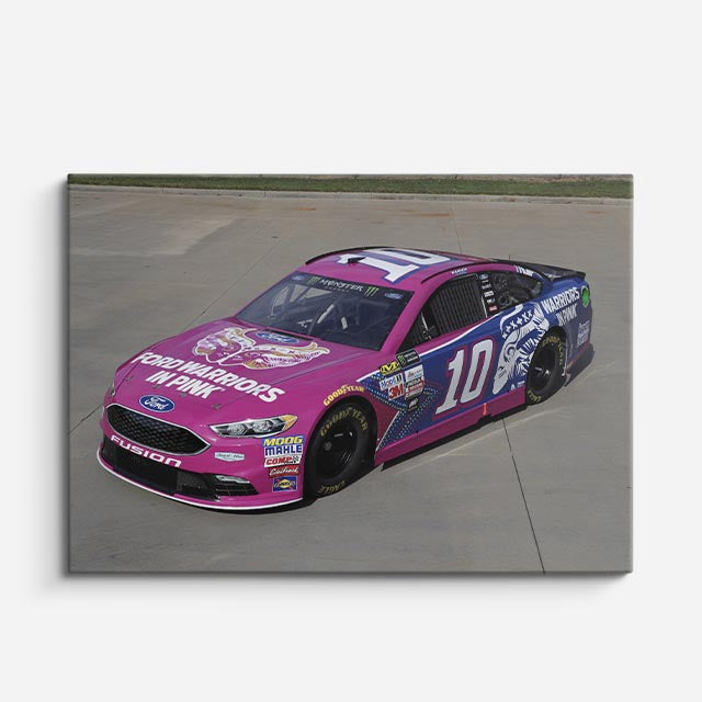 cuadro canvas vehículos auto nascar rosa pista horizontal