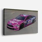 cuadro canvas vehículos auto nascar rosa pista horizontal